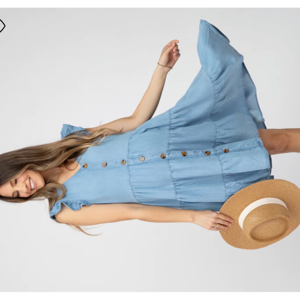 Pinkblush Chambray Maternity Dress- Medium